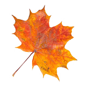 Fallendes Blatt